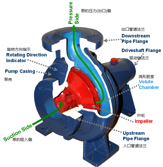 Introduction of the BEYOND’s Centrifugal Pump